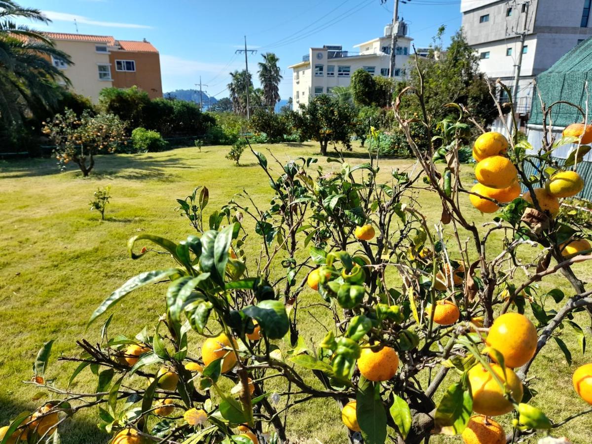 Haeansung Pension Sogüpcho Exteriér fotografie