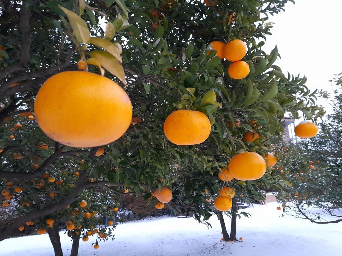 Haeansung Pension Sogüpcho Exteriér fotografie