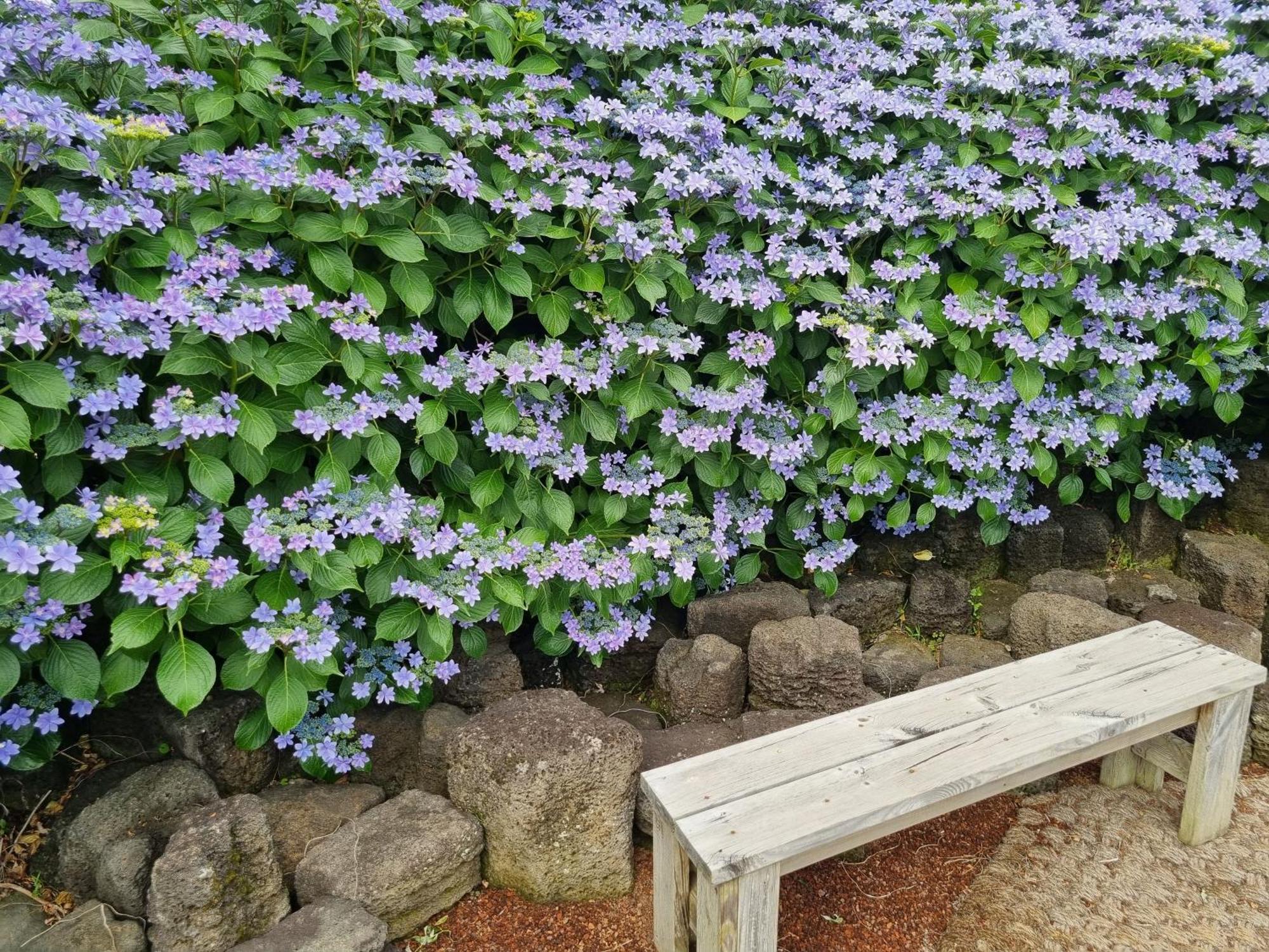 Haeansung Pension Sogüpcho Pokoj fotografie
